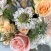 Signature vase collection. Blush color