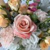 Signature vase collection. Blush color